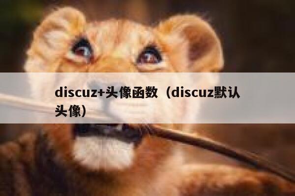 discuz+头像函数（discuz默认头像）