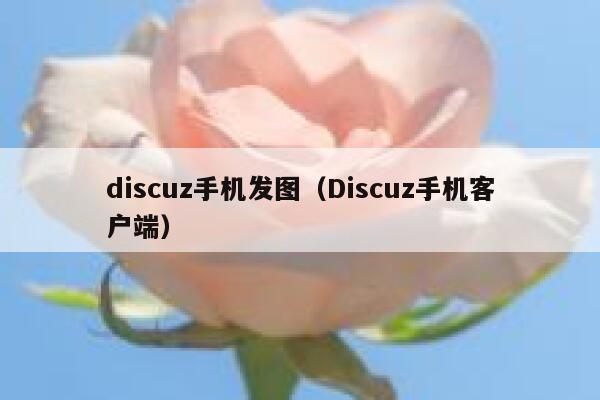 discuz手机发图（Discuz手机客户端）