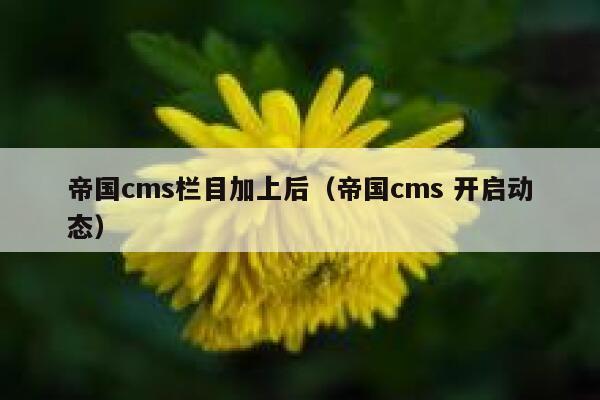 帝国cms栏目加上后（帝国cms 开启动态）