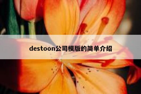 destoon公司模版的简单介绍 第1张