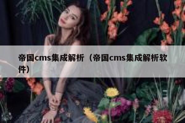 帝国cms集成解析（帝国cms集成解析软件）