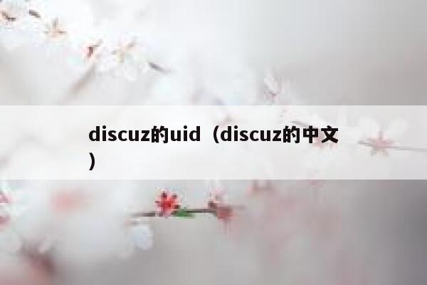 discuz的uid（discuz的中文）