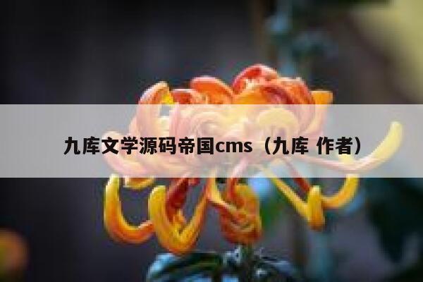 九库文学源码帝国cms（九库 作者）