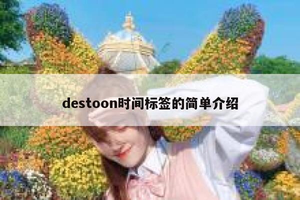 destoon时间标签的简单介绍