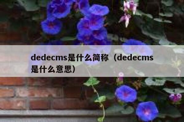 dedecms是什么简称（dedecms是什么意思）