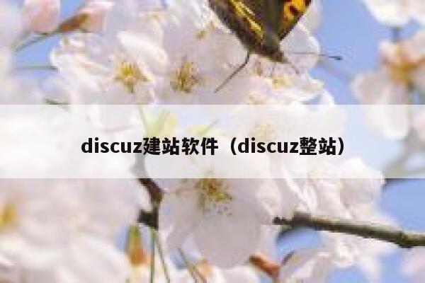 discuz建站软件（discuz整站）