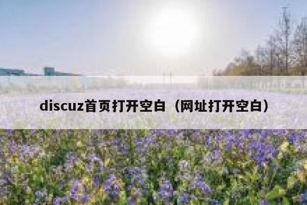 discuz首页打开空白（网址打开空白）