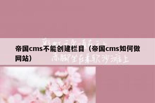 帝国cms不能创建栏目（帝国cms如何做网站）