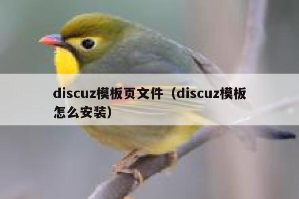 discuz模板页文件（discuz模板怎么安装）