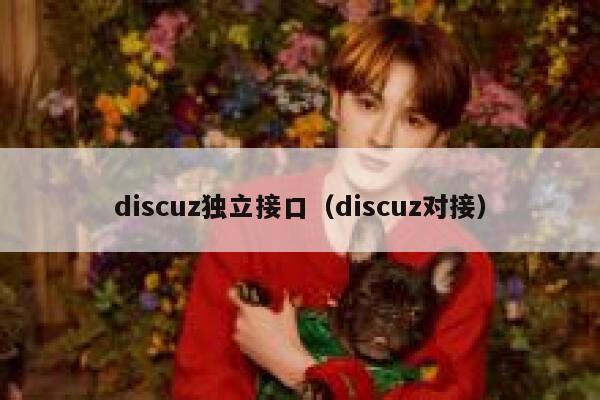 discuz独立接口（discuz对接）