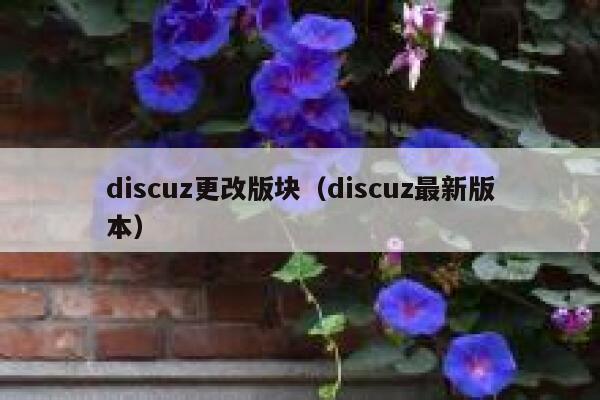 discuz更改版块（discuz最新版本）