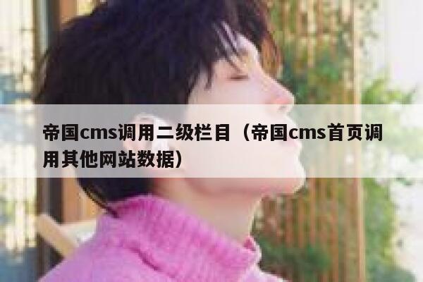 帝国cms调用二级栏目（帝国cms首页调用其他网站数据）