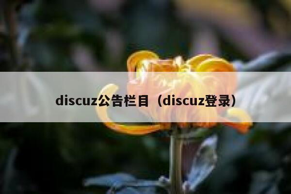 discuz公告栏目（discuz登录）