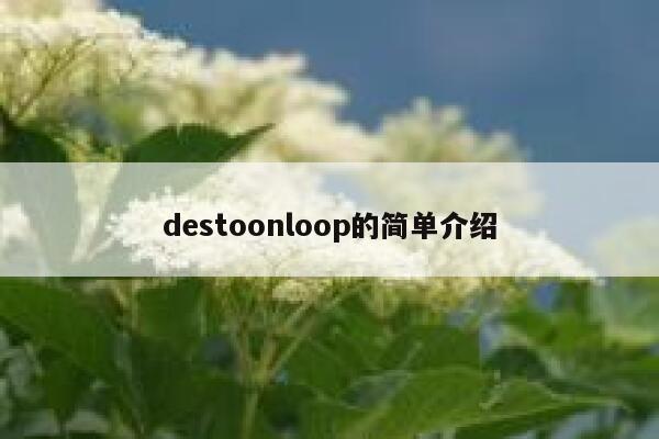 destoonloop的简单介绍