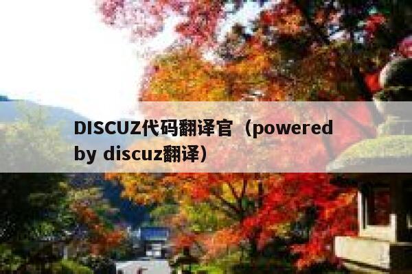 DISCUZ代码翻译官（powered by discuz翻译）