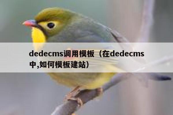 dedecms调用模板（在dedecms中,如何模板建站）