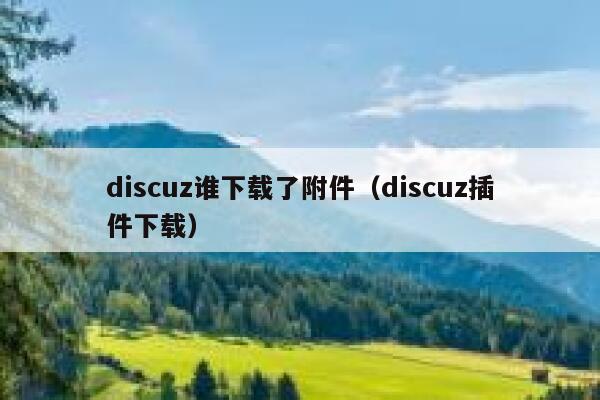 discuz谁下载了附件（discuz插件下载）