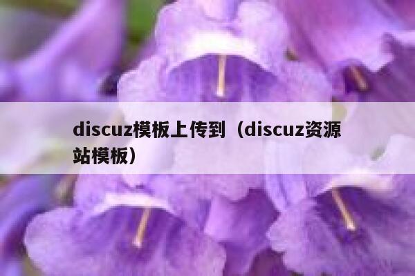 discuz模板上传到（discuz资源站模板）