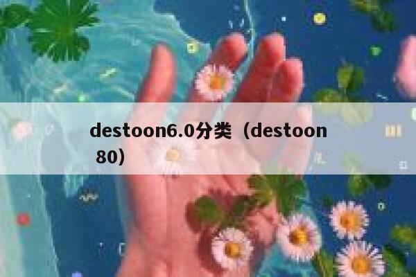 destoon6.0分类（destoon 80）