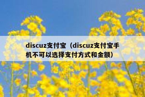 discuz支付宝（discuz支付宝手机不可以选择支付方式和金额）