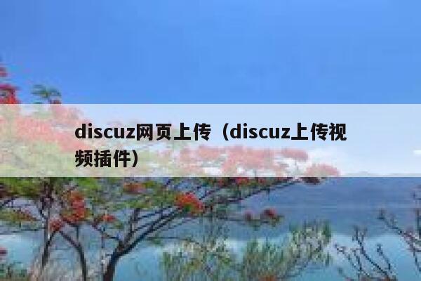 discuz网页上传（discuz上传视频插件）