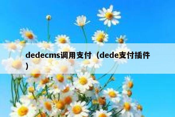 dedecms调用支付（dede支付插件）