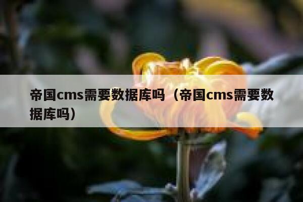 帝国cms需要数据库吗（帝国cms需要数据库吗）