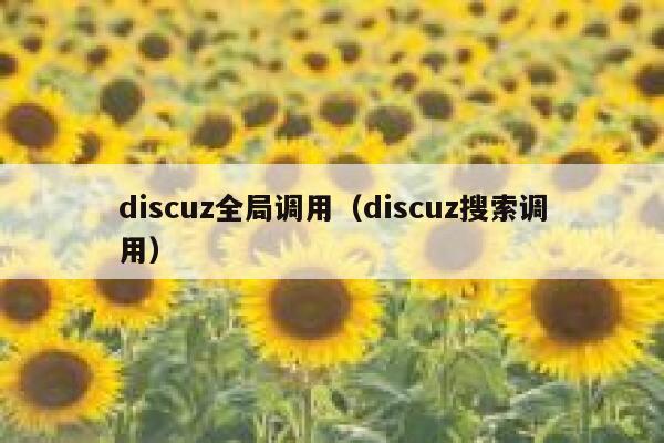 discuz全局调用（discuz搜索调用）