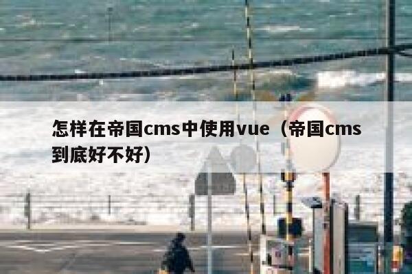 怎样在帝国cms中使用vue（帝国cms到底好不好）