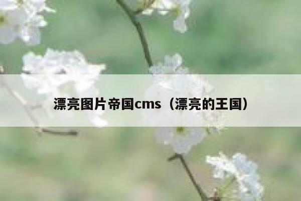 漂亮图片帝国cms（漂亮的王国）