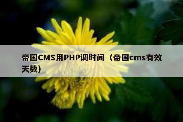 帝国CMS用PHP调时间（帝国cms有效天数）