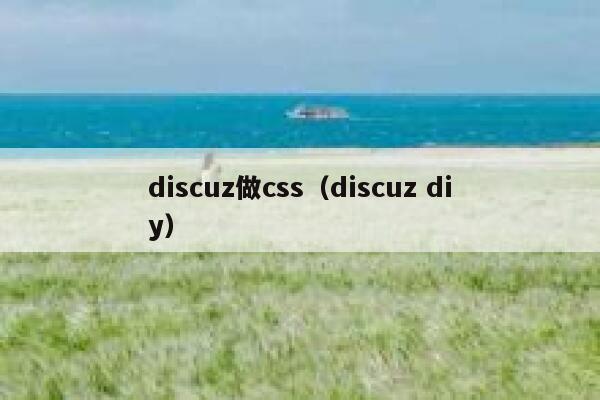 discuz做css（discuz diy）