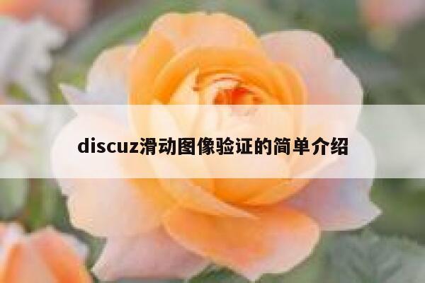 discuz滑动图像验证的简单介绍