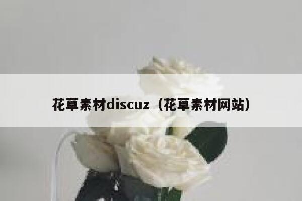 花草素材discuz（花草素材网站）