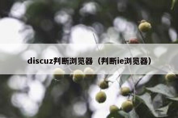 discuz判断浏览器（判断ie浏览器）