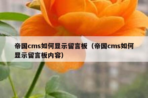 帝国cms如何显示留言板（帝国cms如何显示留言板内容）