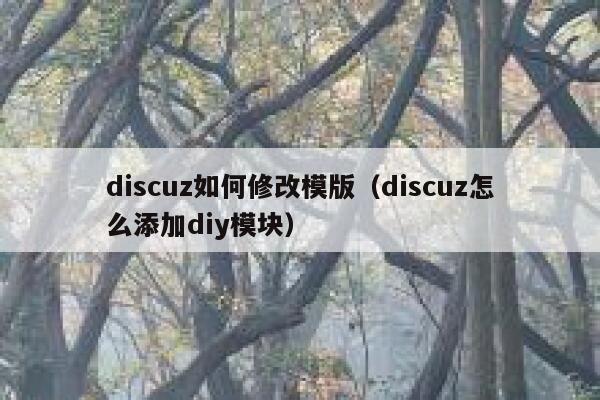 discuz如何修改模版（discuz怎么添加diy模块）