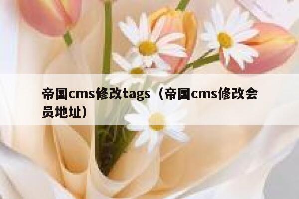 帝国cms修改tags（帝国cms修改会员地址）