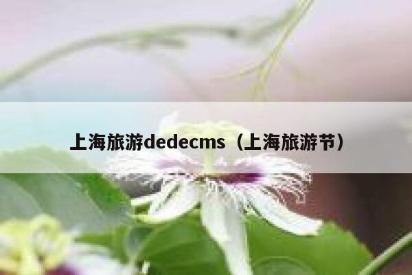 上海旅游dedecms（上海旅游节）