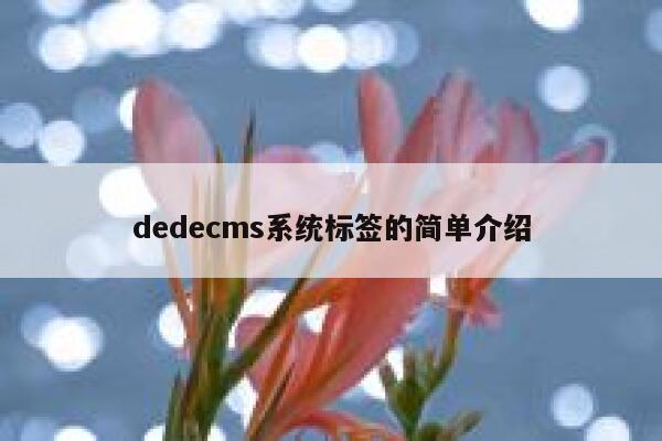 dedecms系统标签的简单介绍