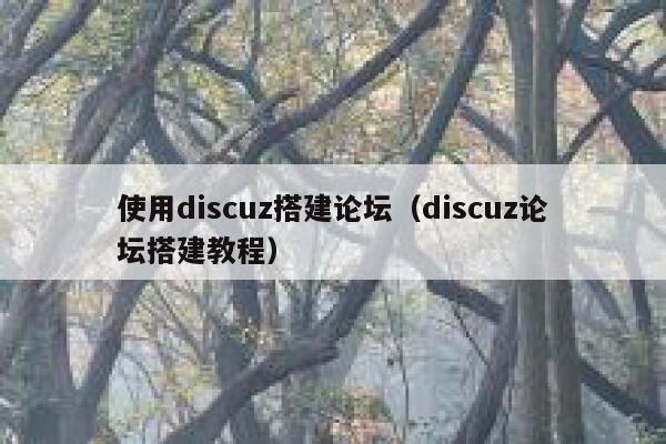 使用discuz搭建论坛（discuz论坛搭建教程）