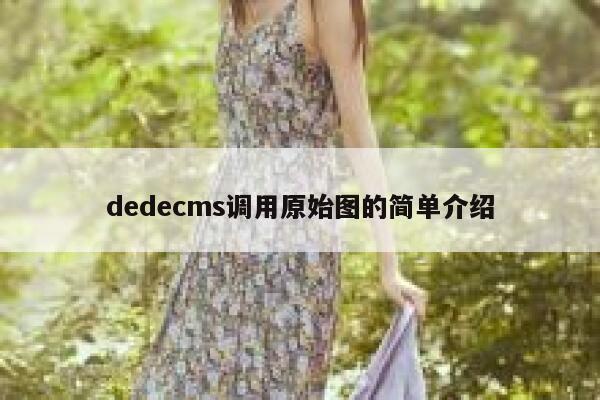 dedecms调用原始图的简单介绍 第1张