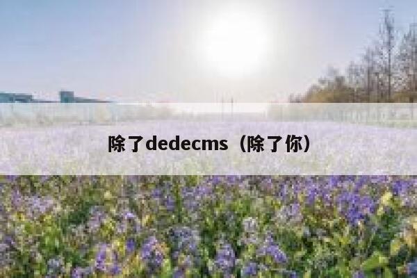 除了dedecms（除了你）