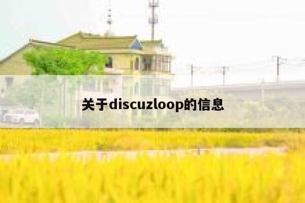 关于discuzloop的信息