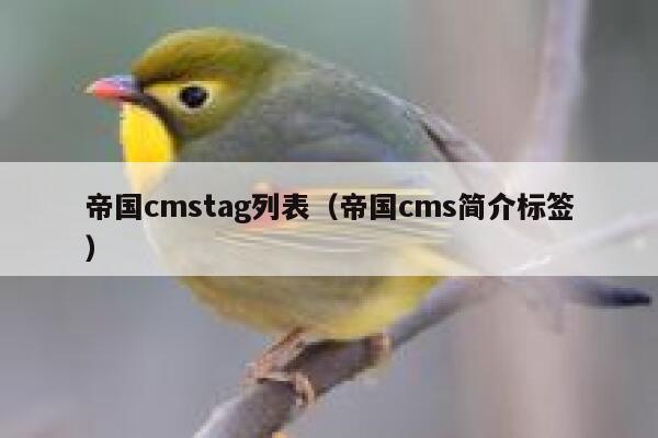 帝国cmstag列表（帝国cms简介标签）