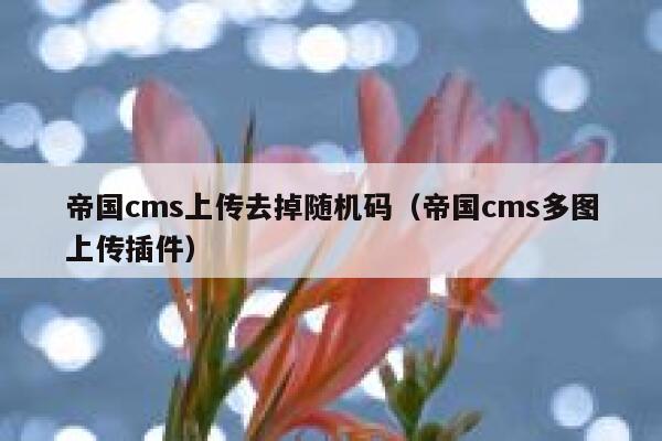 帝国cms上传去掉随机码（帝国cms多图上传插件）