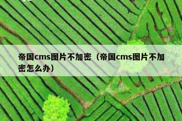 帝国cms图片不加密（帝国cms图片不加密怎么办）