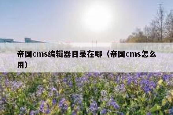 帝国cms编辑器目录在哪（帝国cms怎么用）