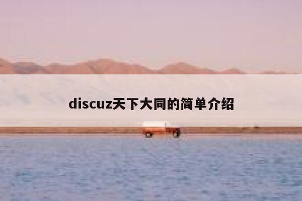 discuz天下大同的简单介绍