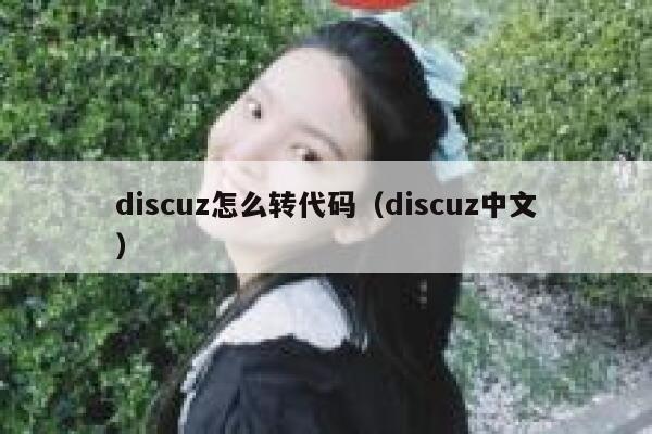 discuz怎么转代码（discuz中文）